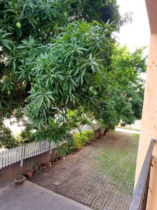 Central Upscale New Kingston Apt With Pool Εξωτερικό φωτογραφία